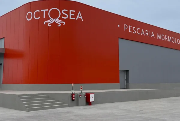 MORMOLO Industrial Pavilion (SmartFrius) – Angola