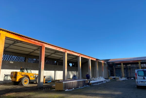 Alter Stud Farm Roof Refurbishment (Transformar É Preciso) – Alter Do Chão-07